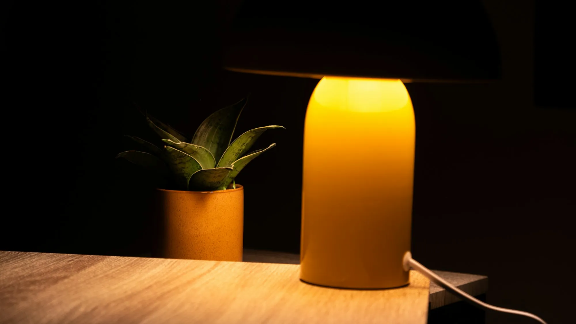 Warm table lamp glowing beside a plant in a dark room
